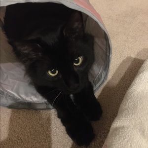 Meet your Posher, Dana